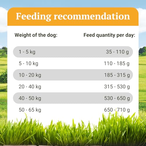 Bellfor Freiland-Schmaus Trockenfutter mit Huhn Getreidefrei Optimal für ernährungssensible Hunde Hoher Anteil an Omega-3-Fettsäuren 6,0 kg