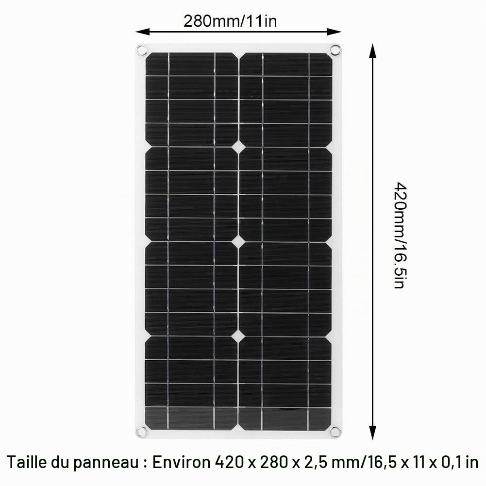 Panneau Solaire Avec Contrôleur PWM 12V/24V, Panneau Solaire en Silicium Monocristallin étanche IP65 Double USB 20w, Courant 10A/20A/30A en Option(30A)