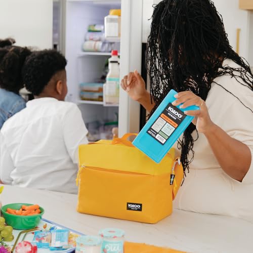 Image of Igloo Maxcold Ice Blocks, Reusable Ice Packs for Coolers, Freezer Pack, Cold Packs for Coolers, Long Lasting Ice Blocks