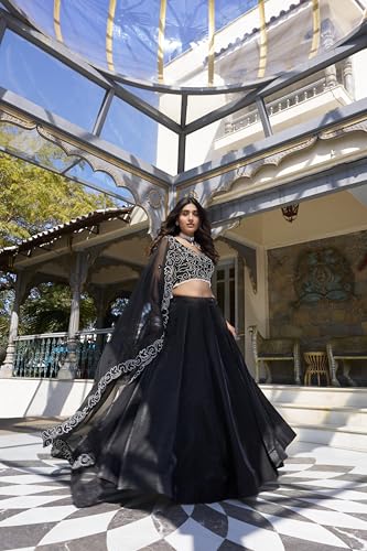 Image of LooknBook Art Womens Women Lehenga Choli