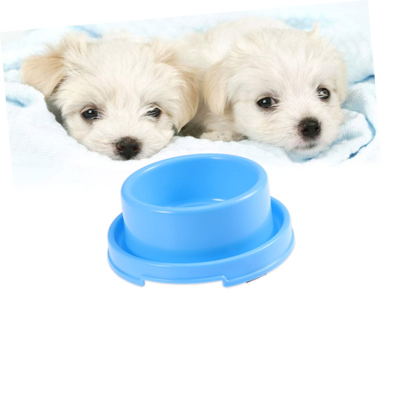 POPETPOP 3st Hundenapf Für Wassernapf Für Welpen Schüssel Zum Servieren Von Katzenfutter Hundenapf Im Freien Großer Hundenapf Anti-ameisen-katzennapf Fressnäpfe Für Hunde Outdoor-Hund Klein