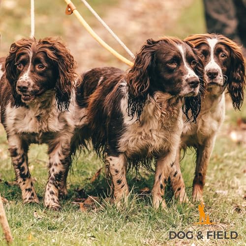 Dog & Field Lux Woven Slip Lead - Teal, 1.2M For Dogs. Soft Braided Rope With Brass Fittings & Leather Bindings. Training Lead, No Collar Or Harness Needed, One Size - 6