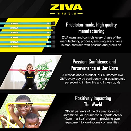 ZIVA 8 lb Chic Weighted Bar