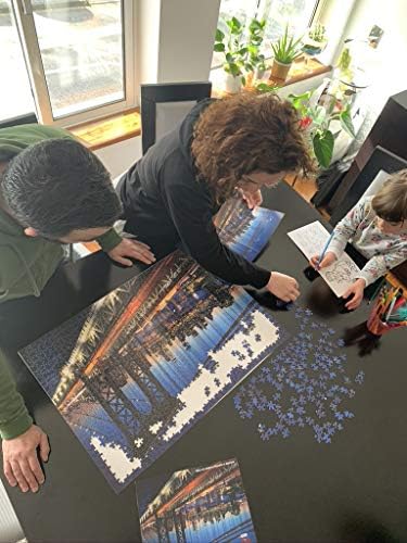 JIGSAW PUZZLE FOR ADULTS 1000 | 1000 Pieces Jigsaw Puzzle for Adults New York Theme | Family Time Brain Challenge Puzzles | The puzzle OPENPLAYGROUND