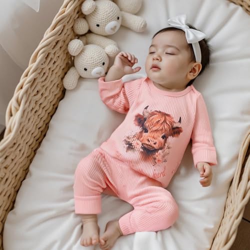 Little Sister Baby Girls Ribbed Romper Daddy's Girl Print Long Sleeve Jumpsuits Headband Set Toddler Infant Outfits3