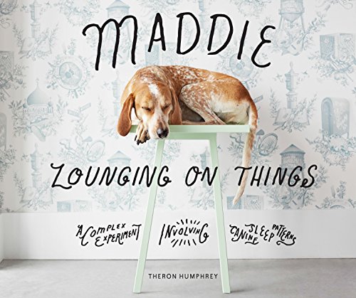 Télécharger Maddie Lounging On Things: A Complex Experiment Involving Canine Sleep Patterns (English Edition) livre En ligne