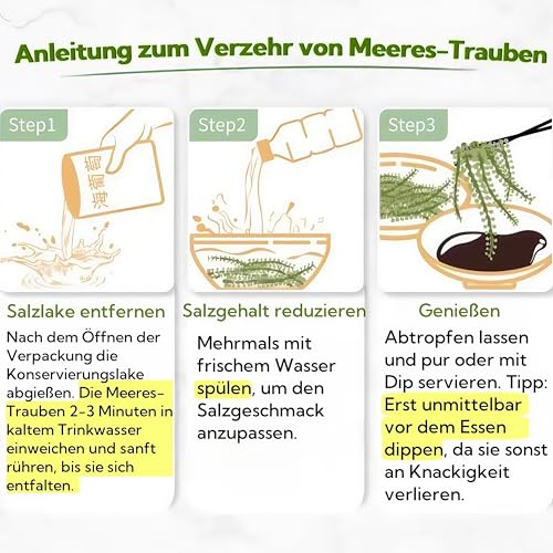 Mckona-Meerestrauben, Natürliche Essbare Algen, 100g