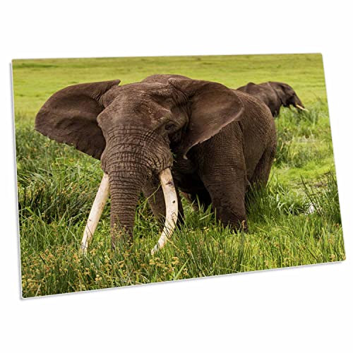 3dRose Africa. Tanzania. Pad para escritorio elefantes miniatura 1