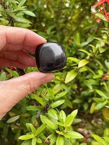 Image of GAF TREASURES 1 /2 LB Jet Tumbled Stones, Polished Jet Gemstone, Jet Healing Crystals (Jet)