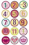 SlickSugar Belly Banter Baby Monthly Stickers for Girl