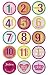 SlickSugar Belly Banter Baby Monthly Stickers for Girl
