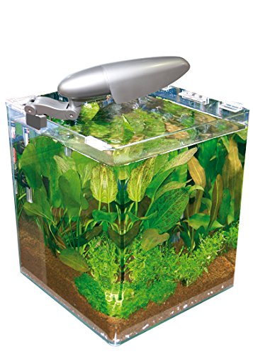 Wave Wave Acquario Box cubo 25 25x25x30h 16 lt con Filtro e Lampada
