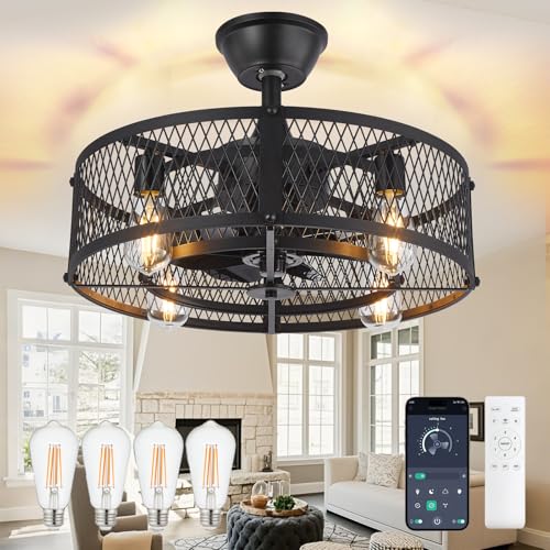 DLLT Caged Ceiling Fan with Light: 20' Farmhouse Fandelier with Lights and Remote & APP - Black Rustic Semi Flush Mount Bladeless Ceiling Fans Enclosed Fan for Bedroon Kitchen Living Dining Room