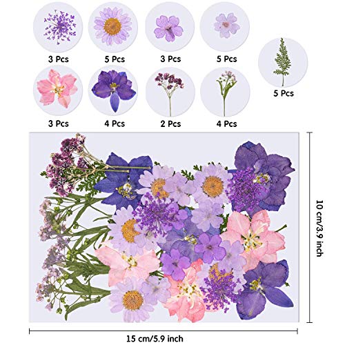 126 stuks echte gedroogde geperste bloemen, Libershine natuurlijke geperste bloemen voor hars, Scrapbooking, DIY kaars… - Afbeelding 5