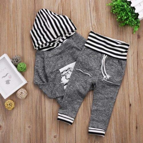 Pasgeboren Kid Baby Jongen Dinosaur Print Lange Mouwen Hoodies Tops Jas Lange Broek Sweatsuit Broek Outfit Set - Image 7