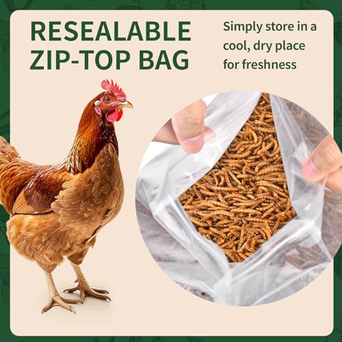 BUNTIE WORMS 10LB Dried Mealworms, 100% Natural, Non-GMO Meal Worms, Dried for Chickens, Wild Birds, Reptile, Hamster, Hedgehog, Pigeon - Image 5