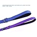 Max and Neo Small Dog Leash - Reflective Nylon, Donates to Dog Rescue (Purple, 4x5/8)