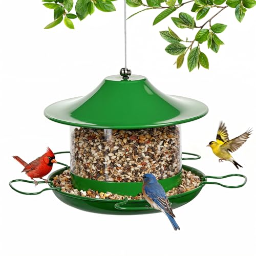 Bird Feeders for Outdoors Hanging Bird Feeder Wild Birds Seed