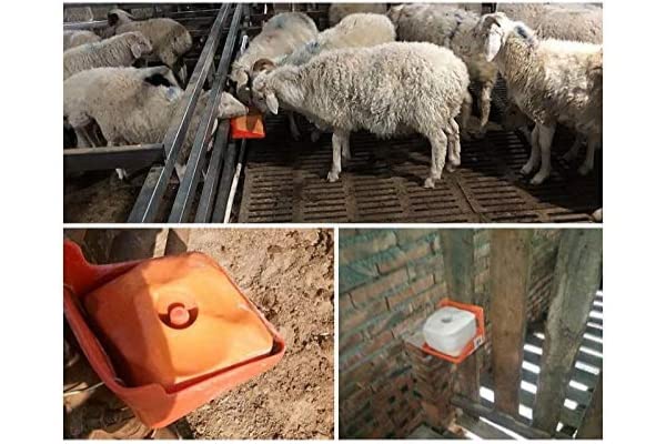 Amazon | （乳牛用）ミネラルソルト（鉱塩） 5kg x 4ヶ | LOSS | 餌 通販