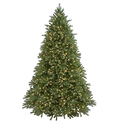 National Tree Pre-lit Jersey Fraser Fir Tree