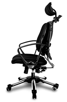 引き取り限定 HARA CHAIR ニーチェ オフィスチェア デスクチェア Amazon.co.jp: Hara Chair ハラチェア ニーチェ 《標準モデル