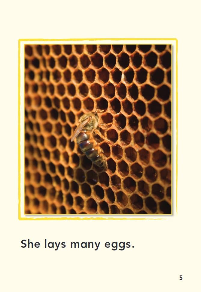 A Bee's Life (TIME FOR KIDS(r) Nonfiction Readers) - Image 5