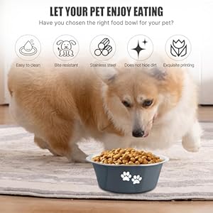 Stainless steel dog bowls nonslip rubber bottom no spill proof skid metal insulated dog bowls for large medium small breed dogs grey 6 6 cups53 oz   cucciolini doodles