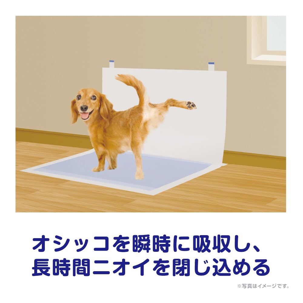 Amazon | 【壁ガード】デオシート 足上げワンちゃん用 壁貼りガード