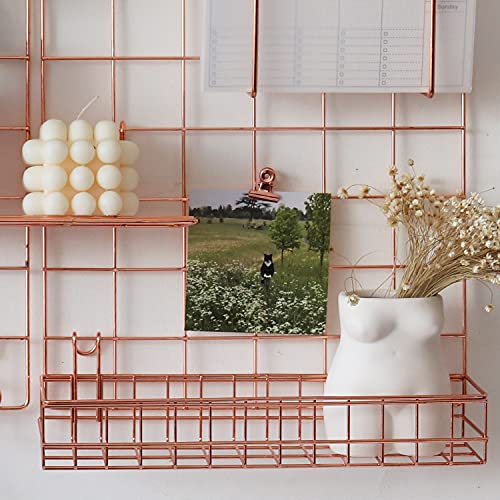 Jovone Wall Grid Panel Basket,Display Shelf,Pen Holder,Hooks Rack,Bookshelf,Wall Organizer For Home Supplies,Set Of 5 (Rose Gold) #TOP5