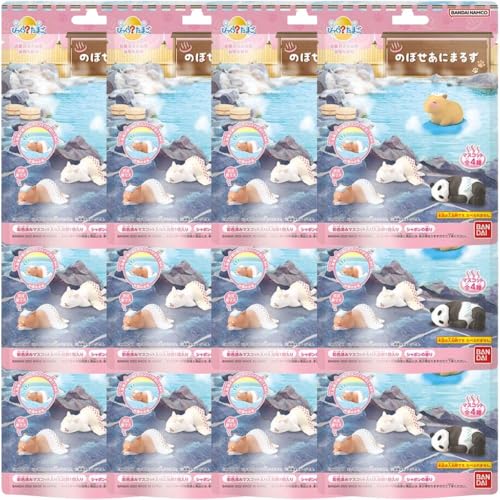 [ 12 Zbg ] тH܂ ̂ڂɂ܂邸 V{̍ oX{[  oX{ j̎q ̎q }XRbg  v[g