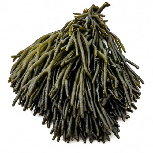 Alga Codium Fresca – 400g