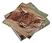 Produktbild Glen Appin 3-lagige Papierservietten von Scotland Highland Cow Coo