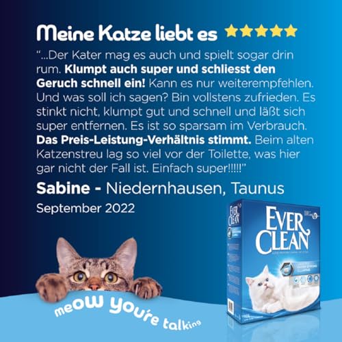 Ever Clean Extrastarkes klumpendes Katzenstreu, 10 Liter, duftstofffrei