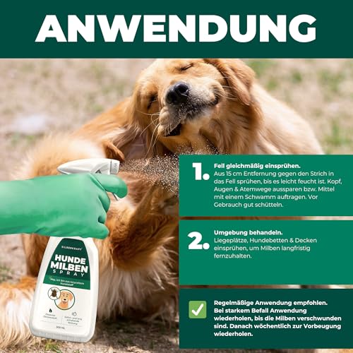 Silberkraft Milbenspray Hunde 500ml - Effektives Anti Milben Spray für Hunde - Milbenbefall behandeln Grasmilben Räudemilben Ohrmilben Hund
