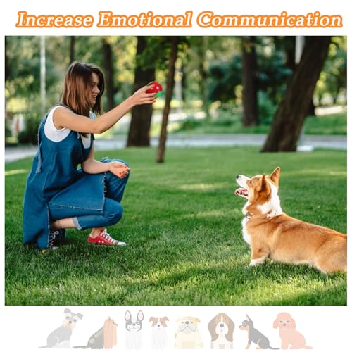 QKURT 6 x Quietschender Hundeball, Haustier Training Ball, Hund interaktive Hund Ball, Hundespielzeug Zähne putzen, Welpen kauen Spielzeug, Hundebälle für die Ausbildung, Interaktion und Spielen