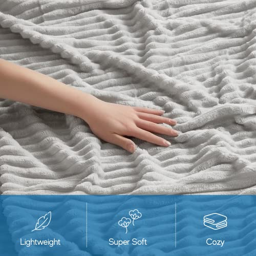 Image of Nestl Light Grey Throw Blanket for Couch - Cozy Warm Fuzzy Blankets for Women, Plush Small Fleece Throws for Girls - Silver, 50 x 60 Inches