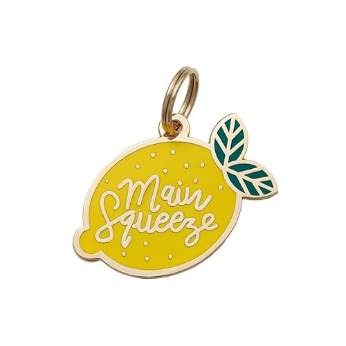 Two Tails Pet Company Personalized 'Main Squeeze' Pet ID Tag & Collar Charm - Custom Engraved Dog Tags for Pets - Luxury Brass, Gold Plating