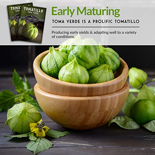 Survival Garden Seeds - Toma Verde Tomatillo Seed For Planting - Packet With Instructions To Plant And Grow Green Salsa Vegetables In Your Home Vegetable Garden - Non-Gmo Heirloom Variety #TOP5