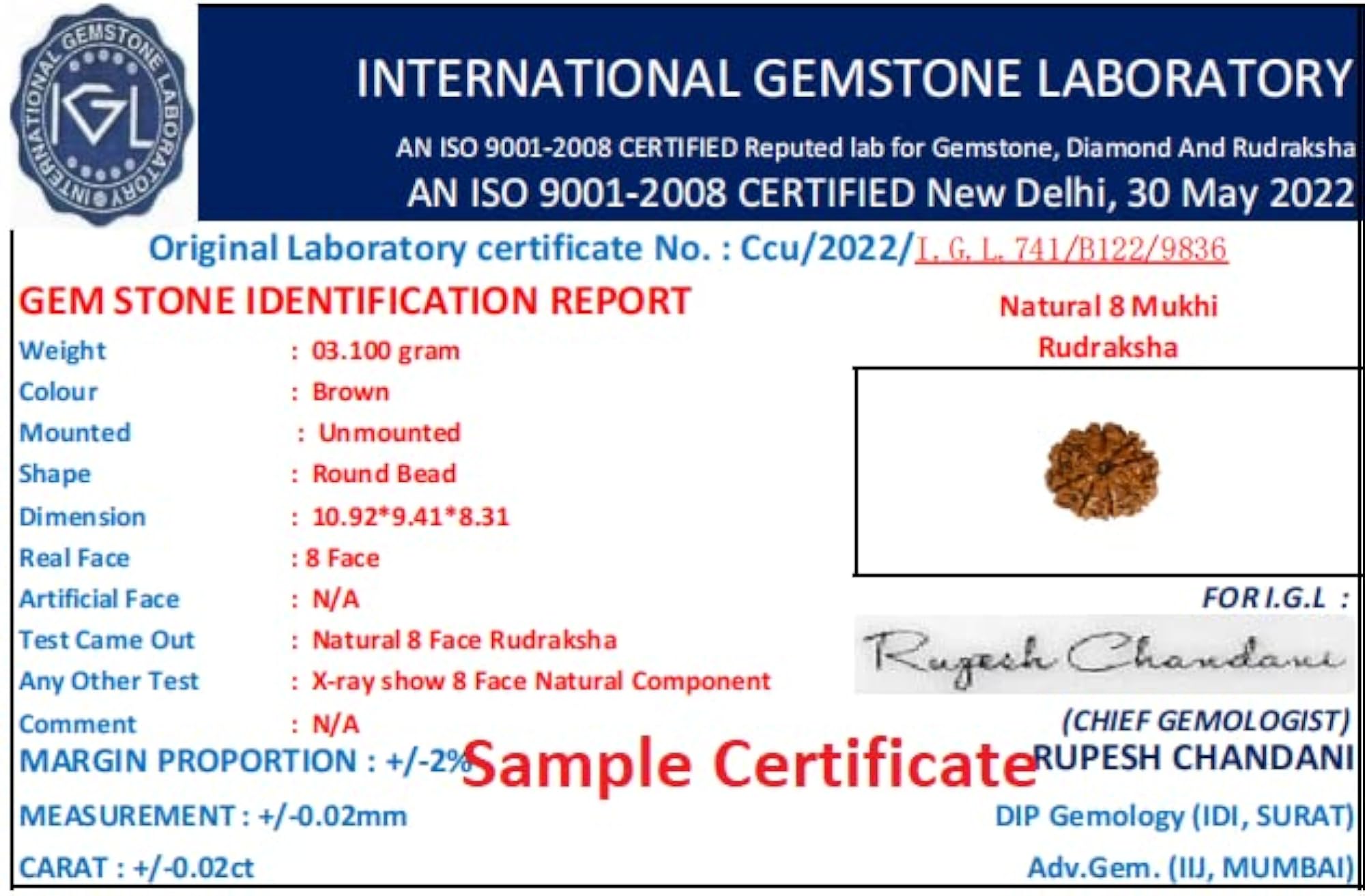 8 Mukhi Rudraksha Original Certified with Silver Capping