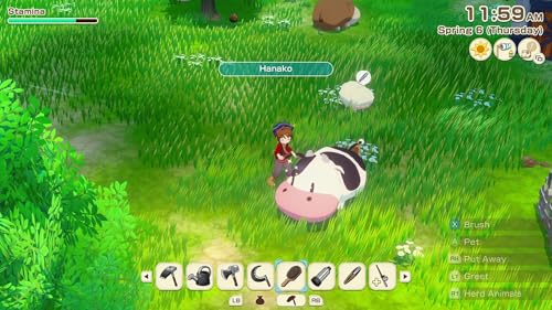 Image of STORY OF SEASONS: Grand Bazaar | Standard Edition | Xbox Series X|S Digital Code