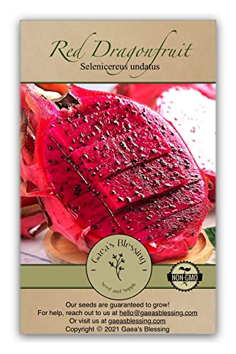 Gaea's Blessing - Dragonfruit Seeds (Red) - Pitaya - Heirloom Non-GMO Seeds with Planting Instructions - Untreated - Open-Pollinated