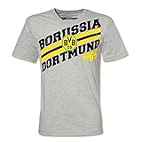  BORUSSIA DORTMUND-T-SHIRT GRAU GR. S