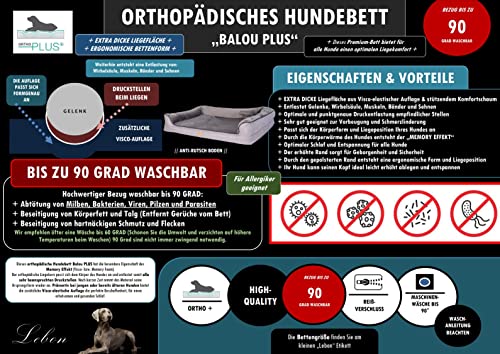 Lebon - Hundebett Balou Plus - Orthopädisch - Bis 90 Grad waschbar - 100x80cm - Dicke Liegefläche - Hochwertig und Made IN EU