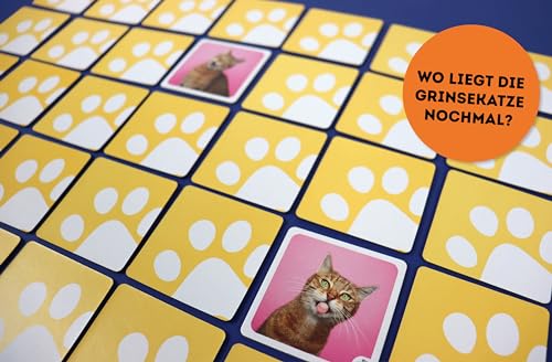 Edition Michael Fischer Memo-Spiel: Crazy Cats!: Mit 60 lustigen Katzen-Motiven von süß bis Grumpy für Katzenfans von 6-99 Jahren