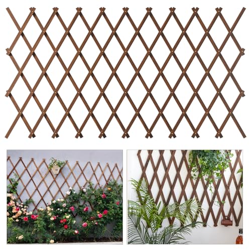 Expandable Garden Trellis, 37