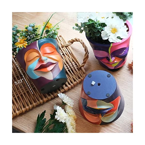   GUGUGO-Abstract-Rainbow-Head-Planter-Graffiti-Face-Planters-Pots-with-Drainage-Flower-Plant-Pots-for-Indoor-Plants-Unique-Funny-Pots-for-Plant-Lover-Gifts