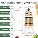 CAELUM Fruit Wine Press, 1.6 Gallon Wood Fruit and Cider Press Squeezer With T-Handle, Juice Maker, Wine Making Press Squeezer for Outdoor, Kitchen（Green）