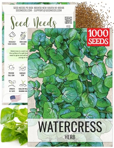 Seed Needs Watercress Seeds to Plant Heirloom Non-GMO Herb Sprouts 1 Pack