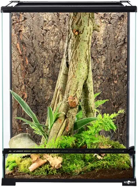 ReptiPlanet Glass Terrarium 45 x 45 x 60 cm
