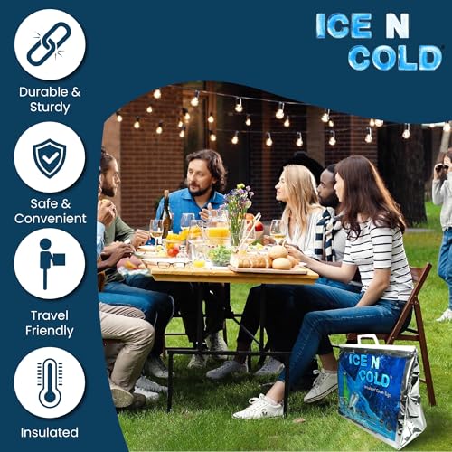 Insulated Picnic/Shopping Cooler Bags, Pack of 2, Lightweight Soft Collapsible, Large Capacity, 35lbs, Fast Same Day Shipping